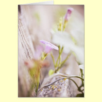 Delicate love card cards
