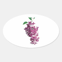 Delicate Pink Lilacs Sticker