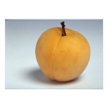 Delicious Apricot Personalized Announcements