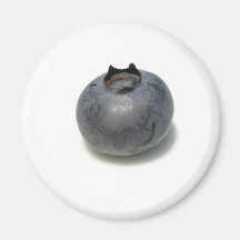 Delicious Blueberry Refrigerator Magnets