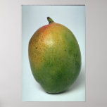 Delicious Mango Posters