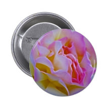 Delicious rose and meaning pins