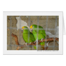Delincuentes Greeting Card