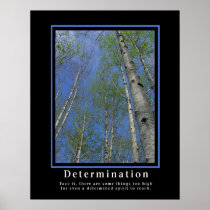 Demotivational Posters ... Determination