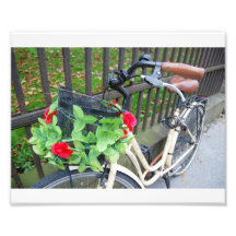 Denmark Bicycle Photo Print
