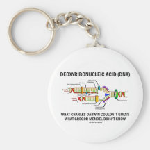 Deoxyribonucelic Acid (DNA) Mendel Darwin Key Chains