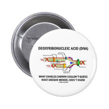 Deoxyribonucelic Acid (DNA) Mendel Darwin Pins