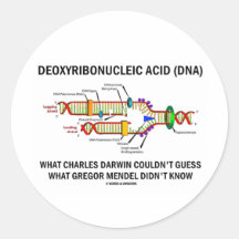 Deoxyribonucelic Acid (DNA) Mendel Darwin Round Stickers