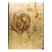Description Studies of Embryos Leonardo da Vinci ( Postcard
