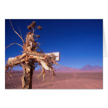 Desert Cross Greeting Cards