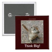 Desert Ground Squirrel Animal Motivational Pinback Buttons