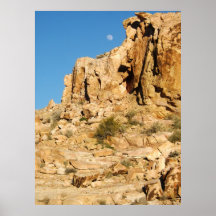 desert moon print