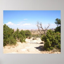 Desert Print