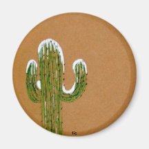 Desert Snow Magnets