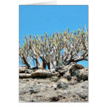 Desert Tree Greeting Card