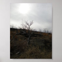 Desolation Poster