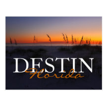 Destin Florida Sea Oats at Sunset Postcard