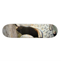 Detail Of Canon Skateboard Deck