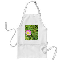 Detailed Photo Of Wild Rose Aprons