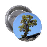 Determined Tree ~ Button