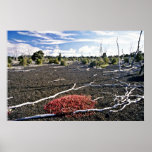 Devastation Area - Kiluaea Crater, Hawaii Posters