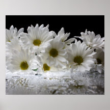 Dew and Daisies Posters