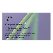 Dew Drop On Green Grass Business Card