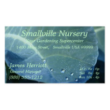 Dew Drops Business Cards