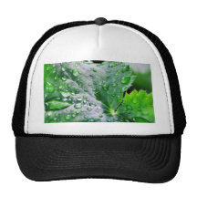 Dew Water Droplets Drops Mesh Hat