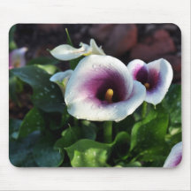Dewdrops Mouse Pads