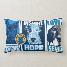 DFP Inspire Pillow Blue