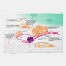 Diagram of microRNA Kitchen Towel