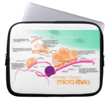 Diagram of microRNA Laptop Sleeves