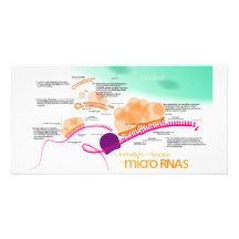 Diagram of microRNA Personalized Photo Card