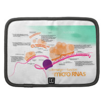 Diagram of microRNA Planner