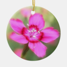 Dianthus Deltoides Flowers  - Close Up Ornaments