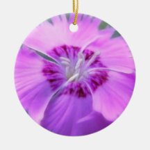 Dianthus gratianopolitanus - Cheddar Pink Christmas Tree Ornament