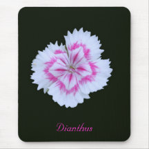 Dianthus Mouse Pad