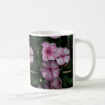 DIANTHUS-MUG