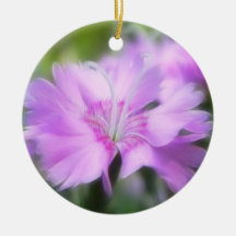 Dianthus Plumarius Flower Christmas Ornaments