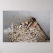 Did I bargain for this? Poster