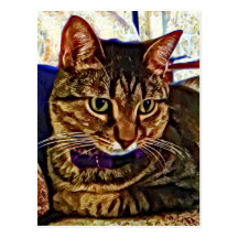 Digital Cat Art Post Card