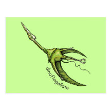 Dinoflagellate Post Card