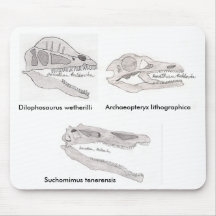 Dinosaur skull mousepad #1