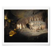 Dinosaur Teeth Photo