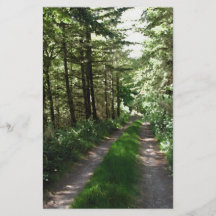 Dirt Track Through Trees. Flyers