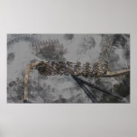 Dirty Collage Roller Coaster Poster