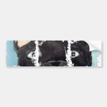 Dirty Photo Bumper Sticker