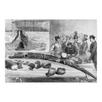 Discovery of Fossil Remains at Leghorn, posters