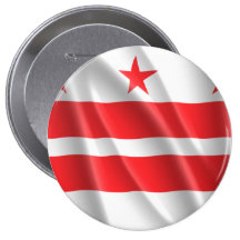 DISTRICT OF COLUMBIA PINS